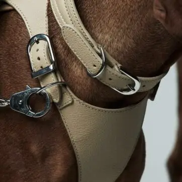 ce413bd0f87d5dec56c016b19789f4df