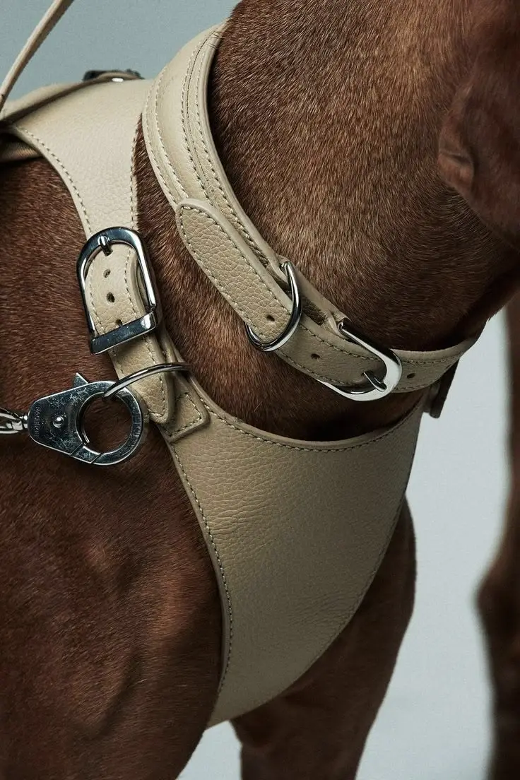 ce413bd0f87d5dec56c016b19789f4df